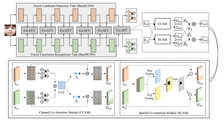 Co Attentive Multi Task Convolutional Neural Network For Facial