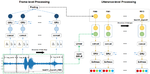 HGFM : A Hierarchical Grained and Feature Model for Acoustic Emotion Recognition